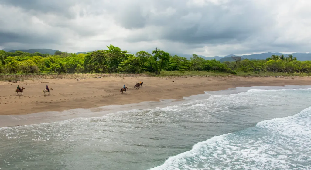 "horseback riders in beach"