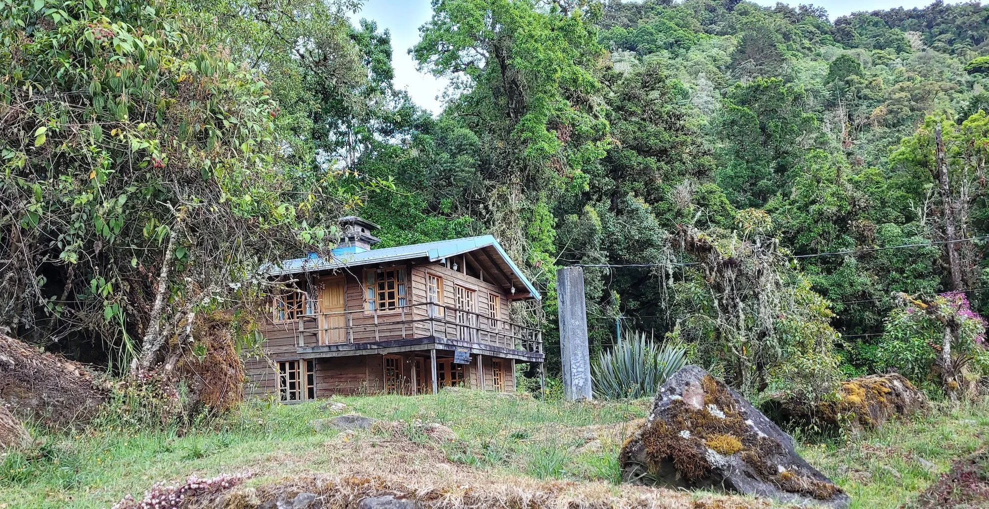 "rustic house in forest"