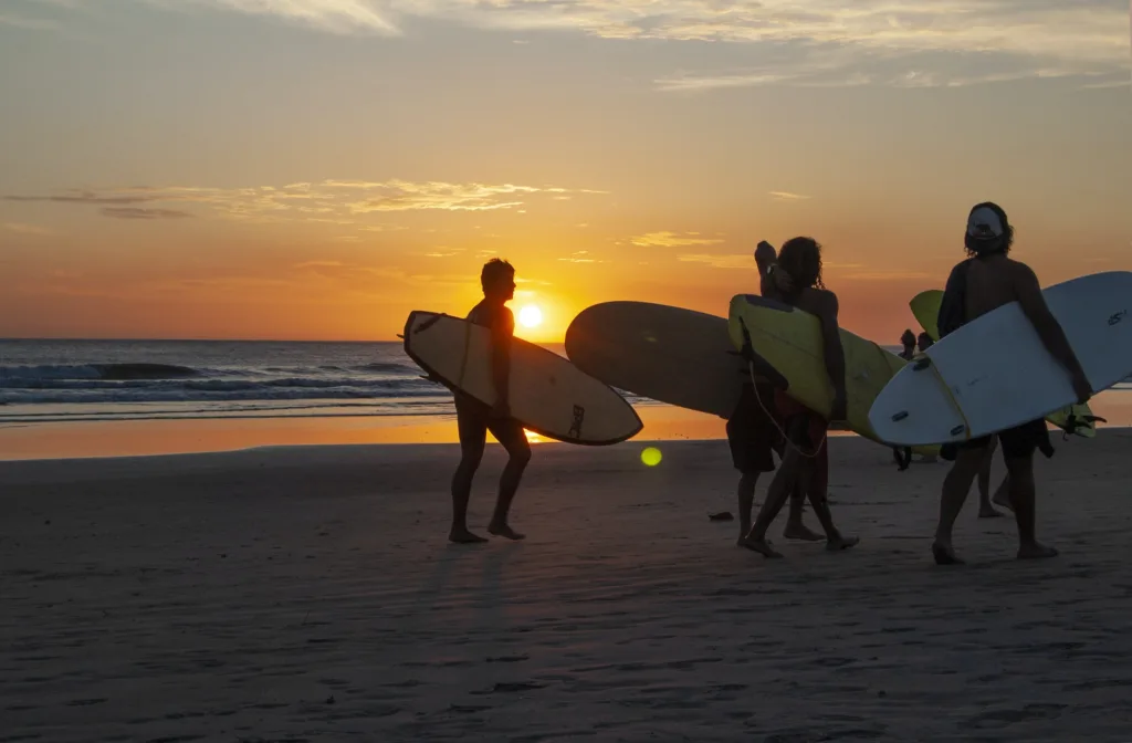 "surfers walking on beach during sunset"