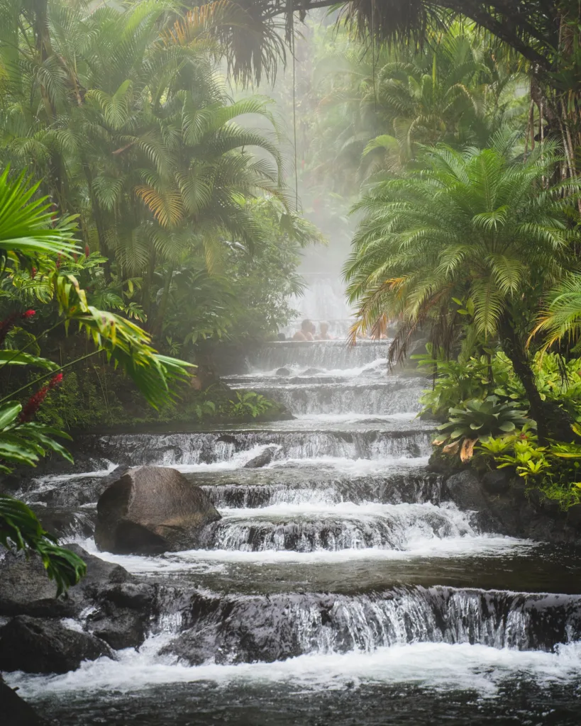 "small waterfall in rainforest"