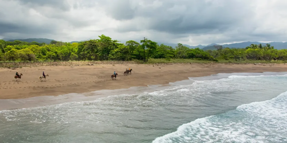 "horseback riders in beach"